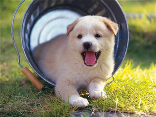 12 chòm sao thích được người ấy gọi với cái tên thân thương trìu mến nào?