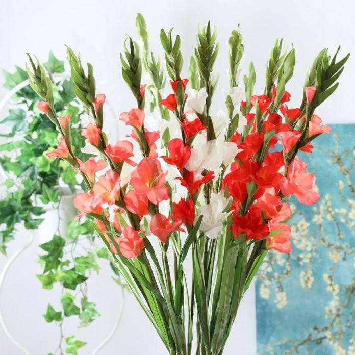 12 loài hoa tượng trưng cho 12 tháng sinh tiết lộ điều gì về con người bạn?