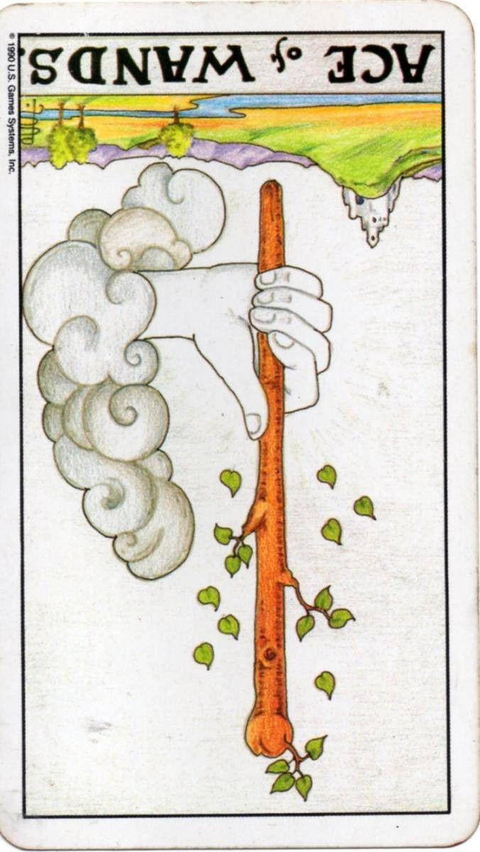 Bói bài Tarot dự đoán tử vi 12 cung hoàng đạo tháng 5/2024