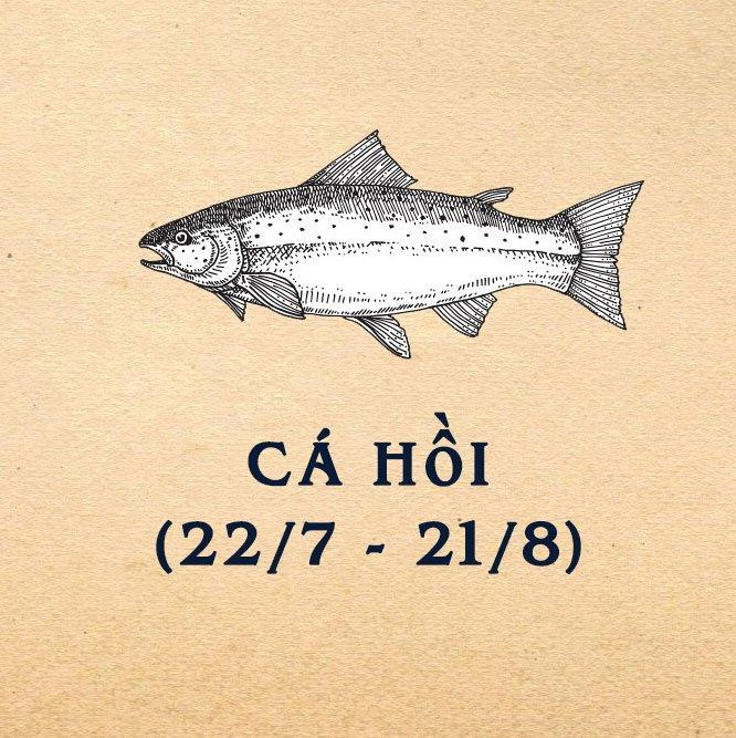 Cá Hồi - quyết tâm và nhiệt huyết.