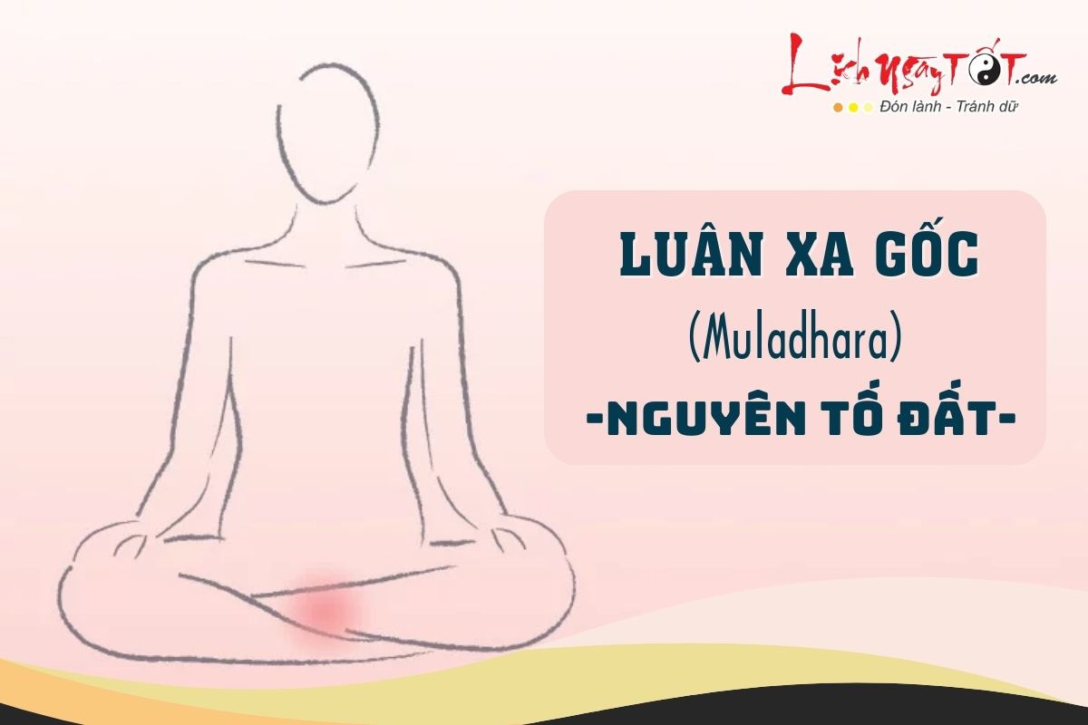 Cân bằng luân xa gốc