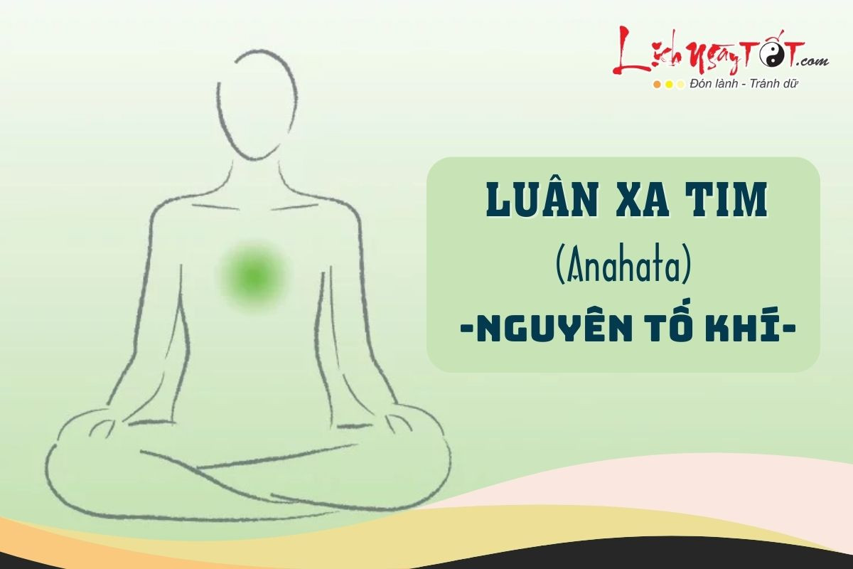 Cân bằng luân xa tim