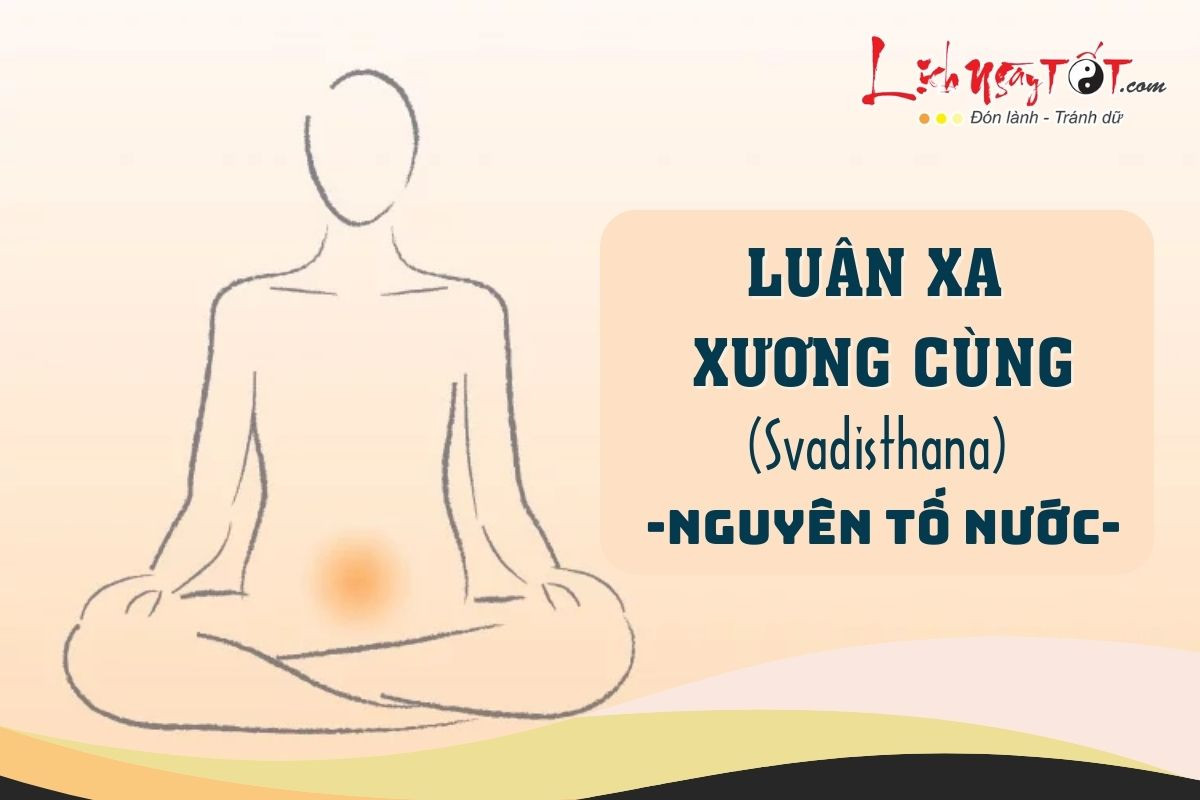 Cân bằng luân xa xương cùng
