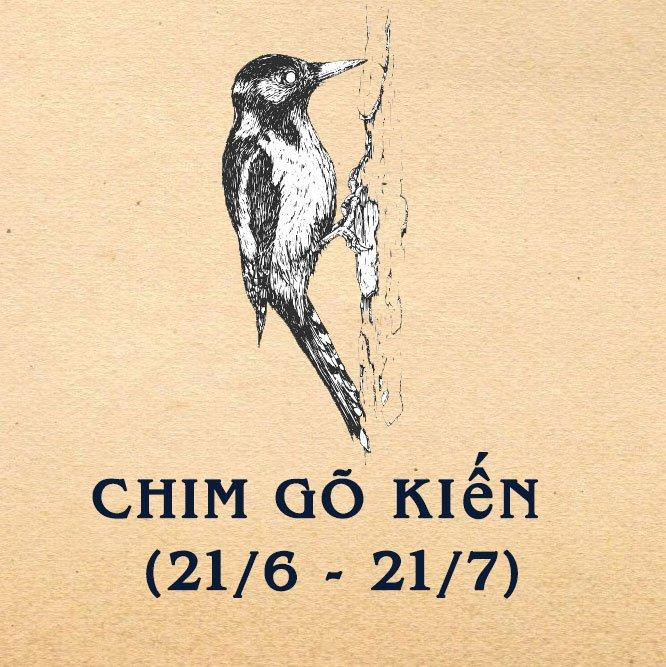 Chim Gõ Kiến - những người đồng cảm.