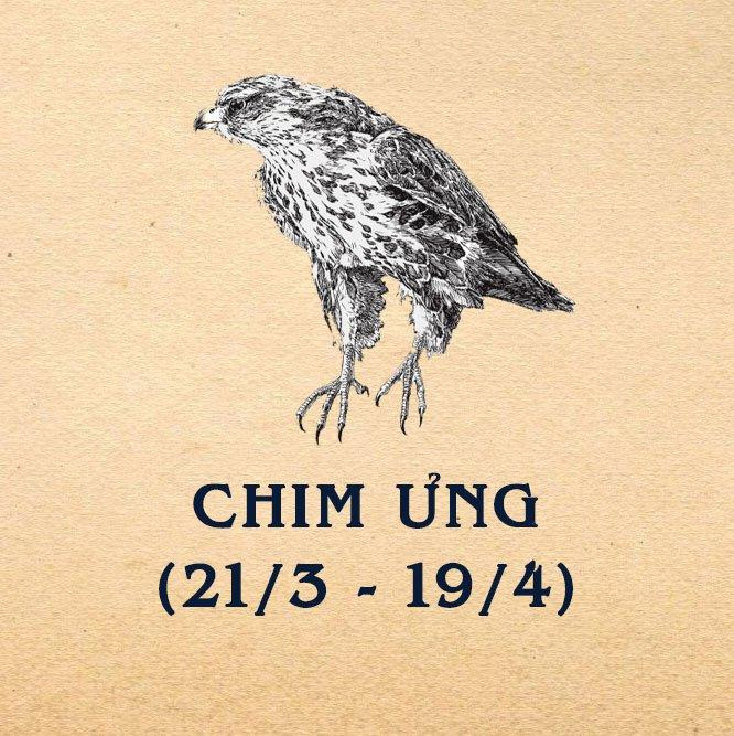 Chim Ưng - nhà lãnh đạo không sợ hãi.