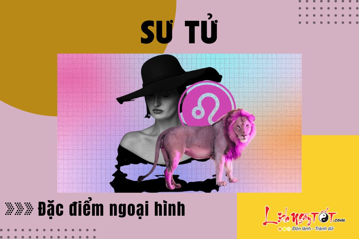 Một Sư Tử trông như thế nào? Điều gì tạo nên sự duyên dáng đầy mạnh mẽ của Sư Tử?