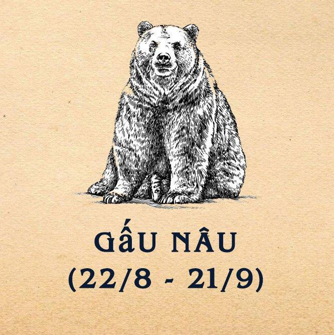 Gấu Nâu - người có phương pháp.