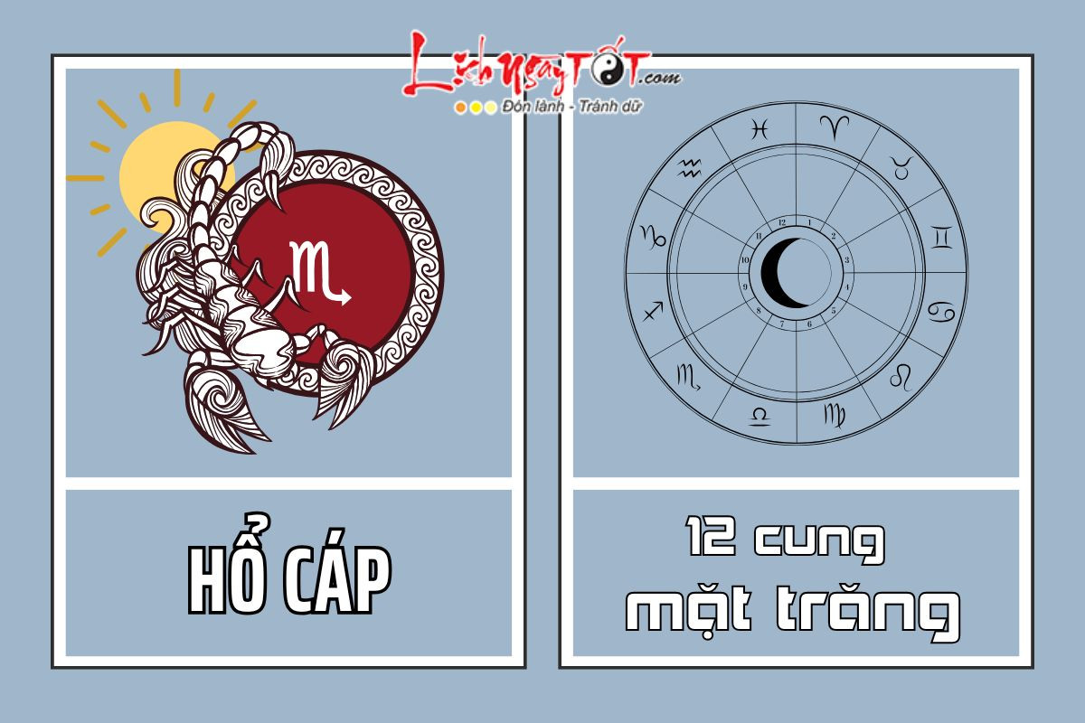 Giải mã sự kết hợp của Mặt trời Hổ Cáp và 12 cung Mặt trăng: Bạn đã hiểu rõ về con người mình chưa?