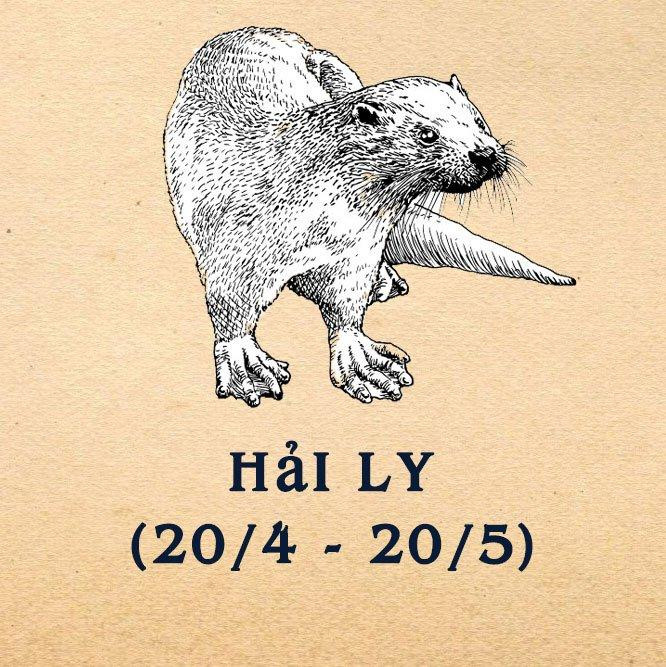 Hải Ly - loài có đầu óc, có chiến lược.