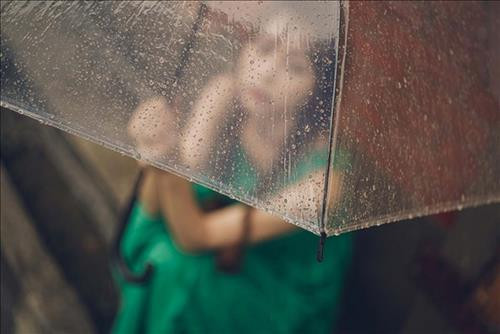Hổ Cáp - Đánh giá cuộc sống