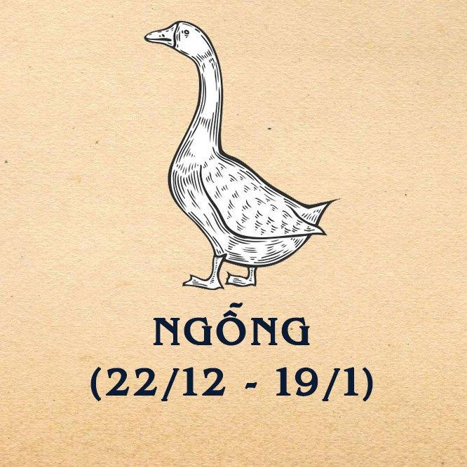 Ngỗng - tham vọng và đáng tin cậy.