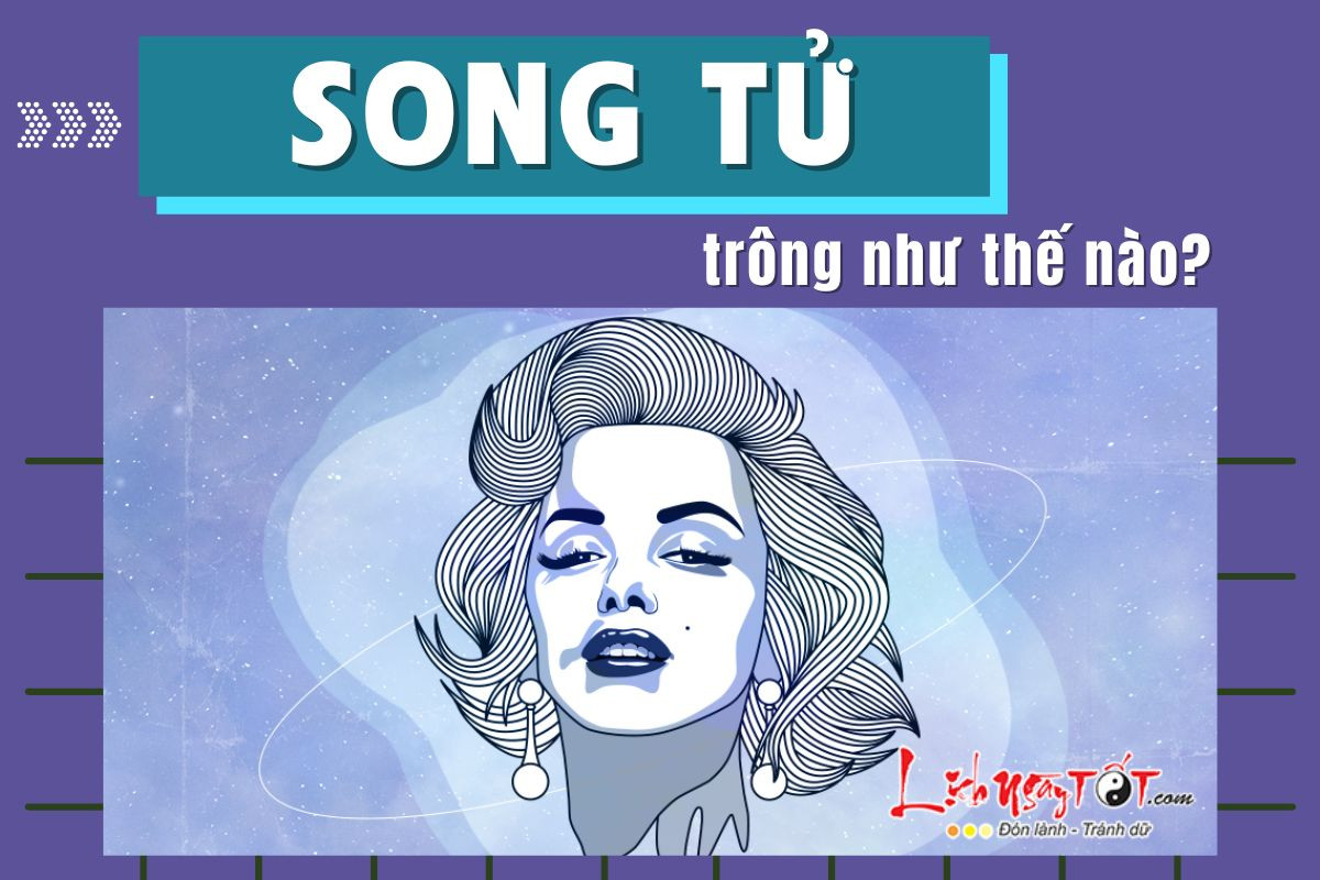Sự hấp dẫn của Song Tử