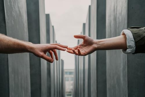 Sư Tử và sự bền bỉ