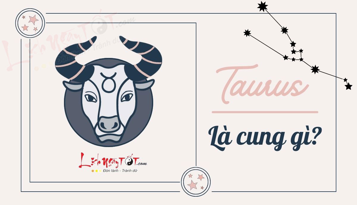 Taurus là cung gì? Hé lộ những sự thật thú vị của cung hoàng đạo Taurus