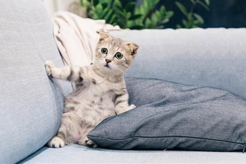 Thiên Bình chuẩn bị cho cơ hội mới